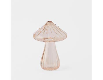 https://s3-ap-southeast-2.amazonaws.com/fusionfactory.commerceconnect.bbnt.production/pim_media/000/180/255/M_F_Glass-Mushroom-Sml_Light-Pink_26150001_SI.jpg?1733807527