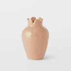 https://s3-ap-southeast-2.amazonaws.com/fusionfactory.commerceconnect.bbnt.production/pim_media/000/169/759/M_F_Lovell-Ceramic-Vase-Tall_Pink-Tan_25878202_SI.jpg?1726210499
