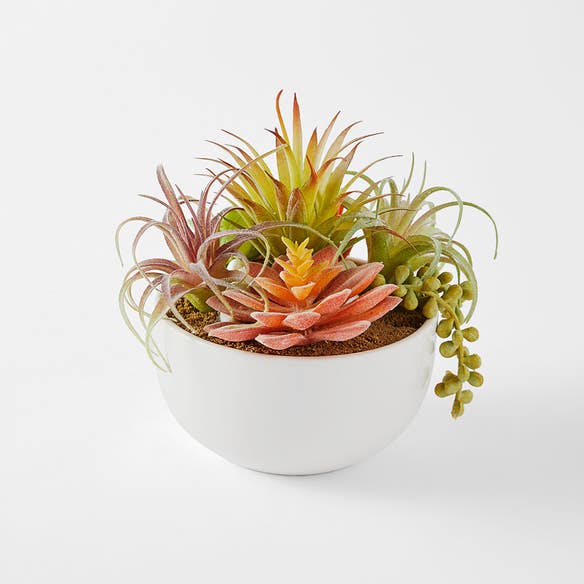 https://s3-ap-southeast-2.amazonaws.com/fusionfactory.commerceconnect.bbnt.production/pim_media/000/155/812/M_F_Mixed-Succulents-In-Pot_Green_20262601_SI.jpg?1699240355