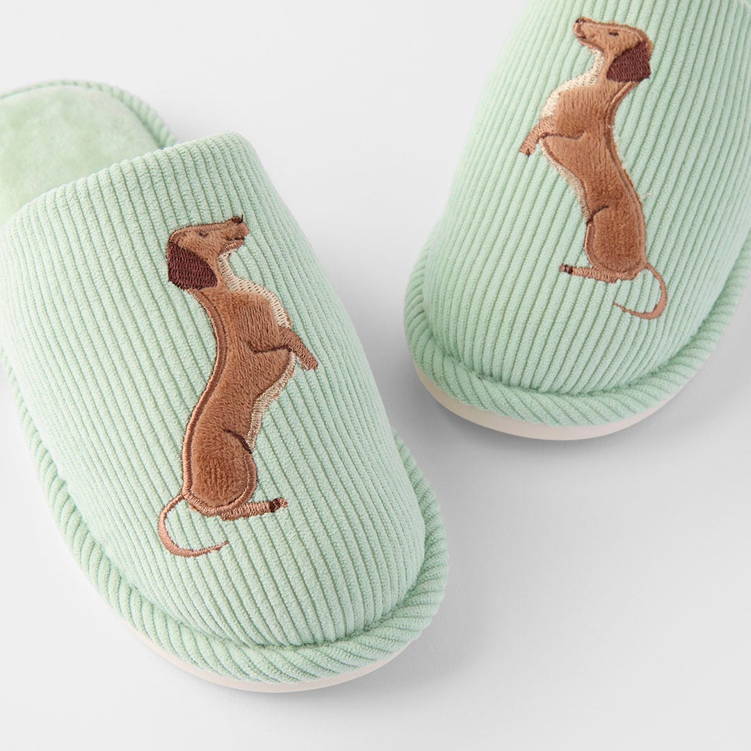 https://s3-ap-southeast-2.amazonaws.com/fusionfactory.commerceconnect.bbnt.production/pim_media/000/200/774/M_F_S25-26_Jackson-Slippers-S-M_Light-Green_26555601_Detail_SI.jpg?1757476308
