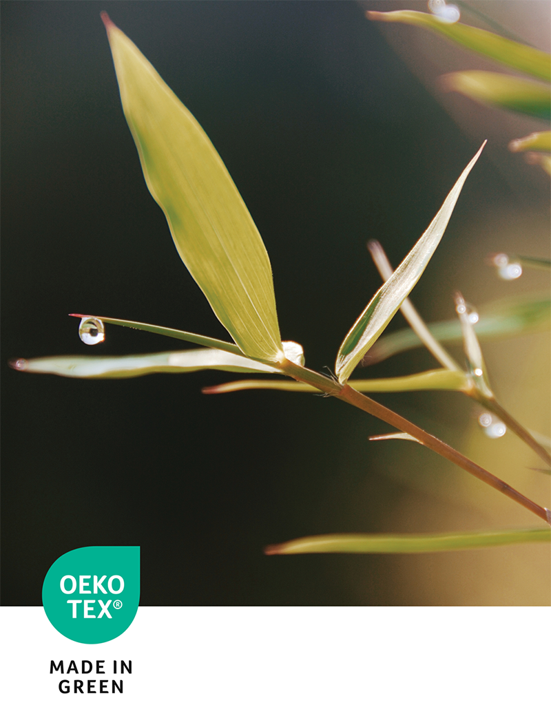 Environmental Impact