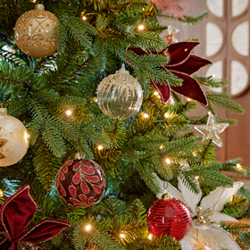 Christmas Merry Collection Christmas Merry Collection