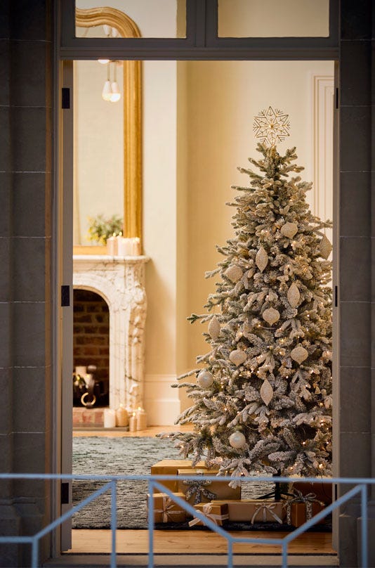 Christmas Trees and Decorations