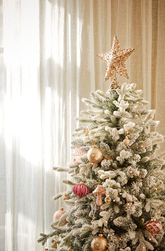 Christmas Trees and Decorations