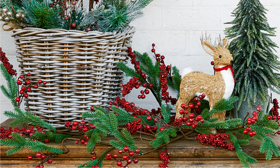 Merry Christmas Collection Merry Christmas Collection