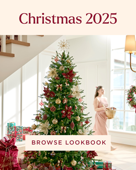 Christmas Lookbook