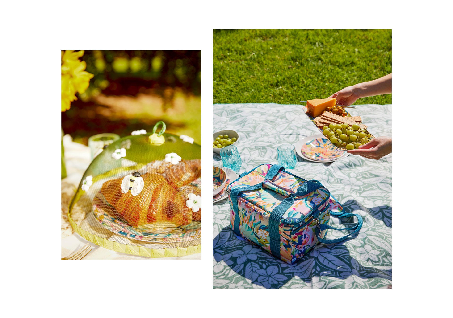 Picnic and Outdoor Dining